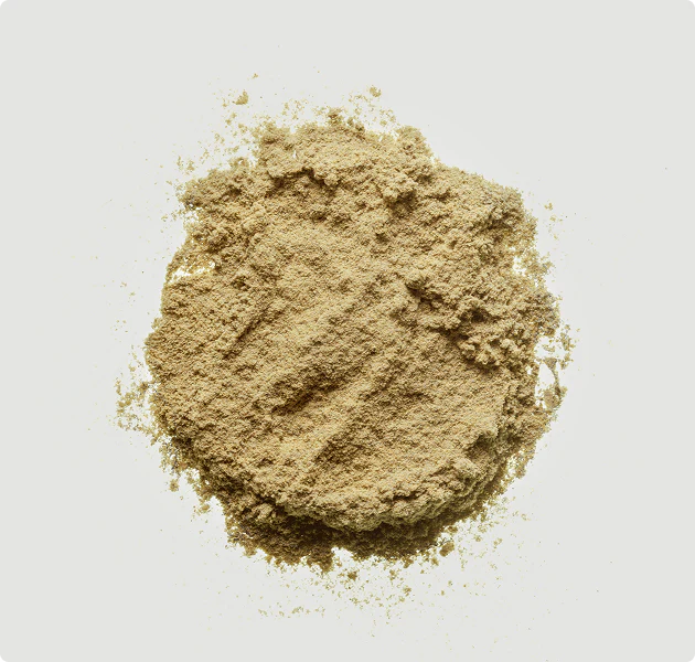 Green lipped Mussel powder