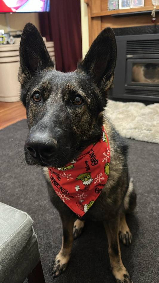 Merry Grinchmas & Paws